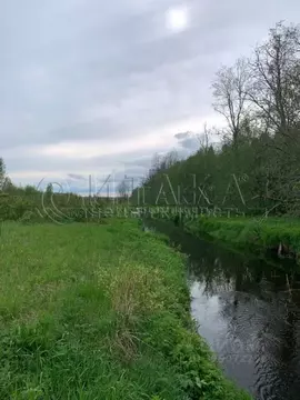 Участок в Ленинградская область, Волховский район, Кисельнинское ...