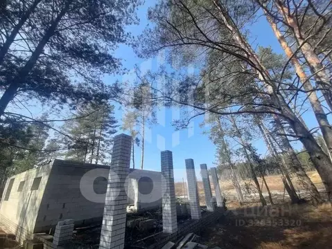 Участок в Воронежская область, Рамонский район, Новоживотинновское ...