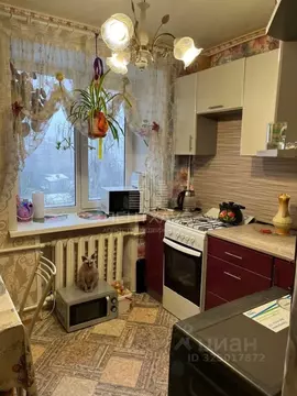 3-к кв. Владимирская область, Владимир Красноармейская ул., 43 (58.3 ...