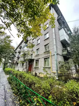 2-к кв. Санкт-Петербург пос. Песочный, Ленинградская ул., 70к3 (43.6 ...