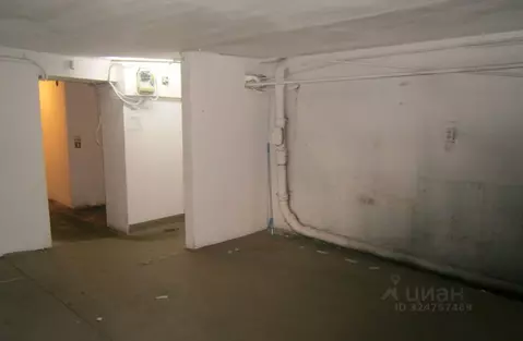 Помещение свободного назначения в Новосибирская область, Новосибирск ...