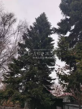 Дом в Кемеровская область, Кемерово ул. Игарская (38 м)