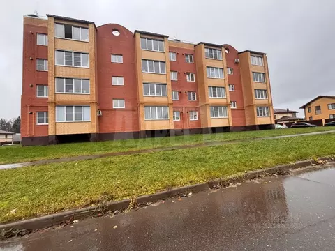 1-к кв. Калужская область, Совхоз Боровский с/пос, д. Кабицыно ул. ...