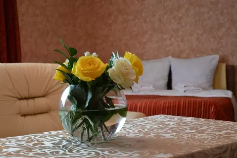 Комната Саратовская область, Энгельс ул. Шурова Гора, 7А (30.0 м)