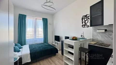 Студия Санкт-Петербург просп. Крузенштерна, 4 (19.0 м)