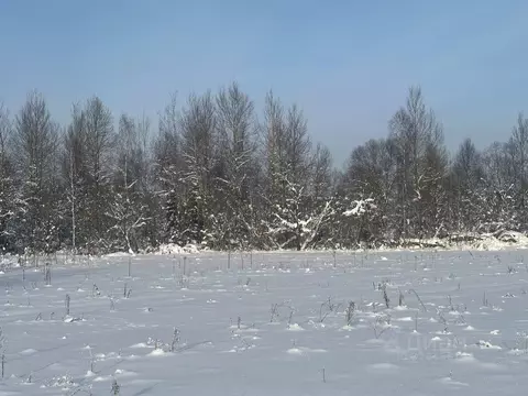 Участок в Московская область, Рузский муниципальный округ, д. Грибцово ...