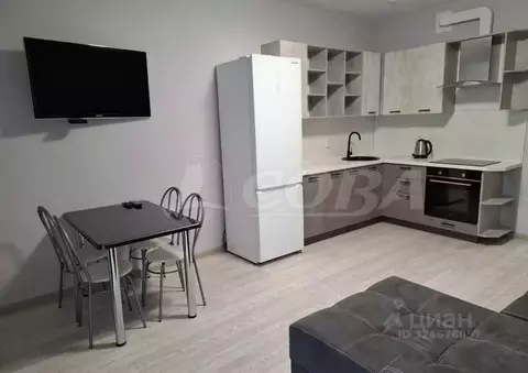 Студия Тюменская область, Тюмень ул. 2-я Луговая, 22к3 (27.1 м)