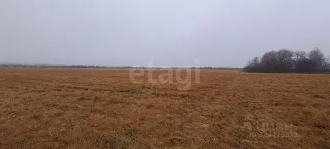 Участок в Челябинская область, Каслинский муниципальный округ, с. ...