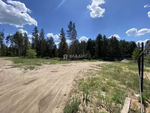 Участок в Воронежская область, Рамонский район, Новоживотинновское ...