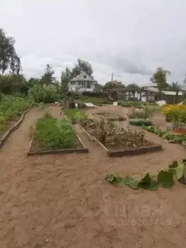 Дом в Забайкальский край, Чита Садко ДНТ, 5 (60 м)