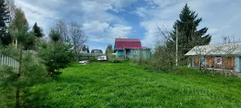 Дом в Вологодская область, д. Фомкино  (40 м)