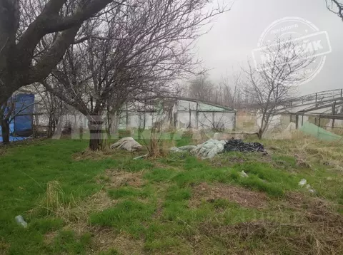 Участок в Ростовская область, Октябрьский район, Кривянское с/пос, ...