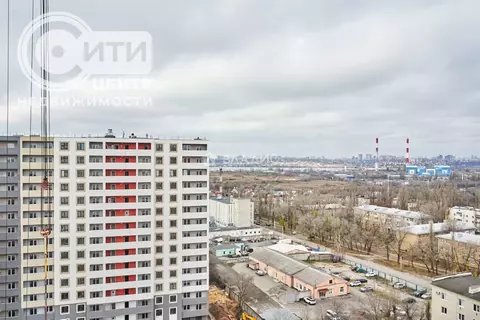 3-к кв. Воронежская область, Воронеж Цимлянская ул., 10В (71.4 м)