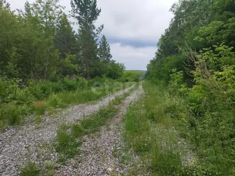 Участок в Свердловская область, Талица  (12.0 сот.)