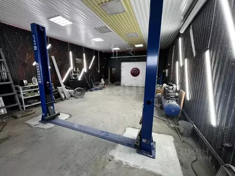 Помещение свободного назначения в Ямало-Ненецкий АО, Новый Уренгой ...