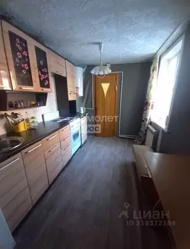 3-к кв. Алтайский край, Бийск ул. 2-я Набережная, 33 (66.4 м)