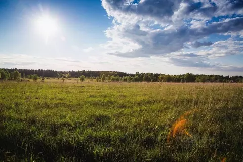 Участок в Ленинградская область, Кингисеппский район, Нежновское ...
