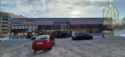 Помещение свободного назначения (53 м)