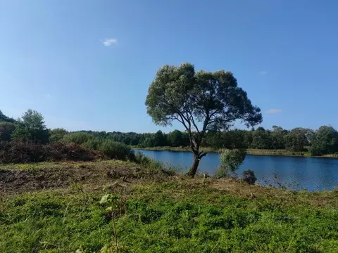 Участок в Тверская область, Конаковский муниципальный округ, д. ...