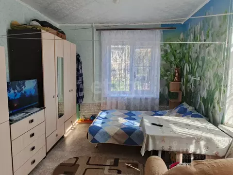 1-к кв. Курганская область, Шадринск Крестьянская ул., 30 (22.9 м)