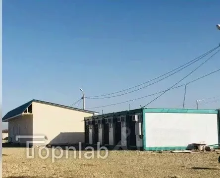 Офис в Краснодарский край, Ейский район, Александровское с/пос, с. ...