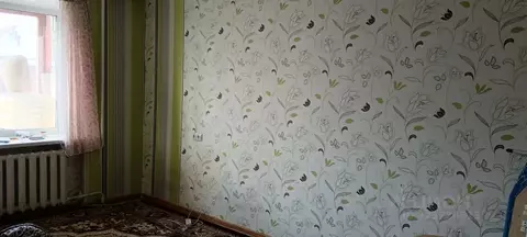 1-к кв. Новосибирская область, Новосибирск Телевизионная ул., 13а ...