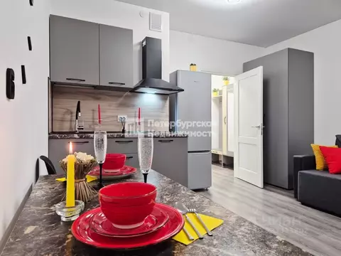 Студия Санкт-Петербург Дальневосточный просп., 23 (26.5 м)