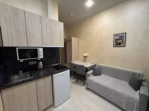 Студия Краснодарский край, Сочи ул. Чекменева, 18 (17.0 м)