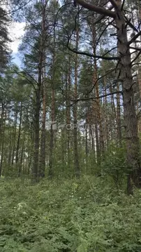 Участок в Новосибирская область, Маслянино рп ул. Горная (13.8 сот.)