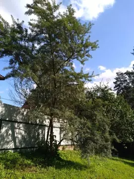 Дом в Ленинградская область, Лужский район, Толмачевское городское ...