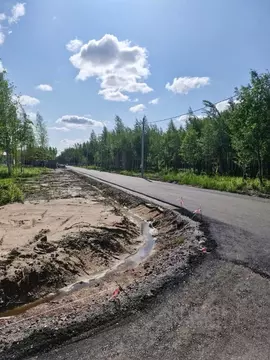 Участок в Санкт-Петербург, Санкт-Петербург, Павловск Павлов Скай кп,  ...