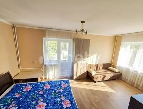 1-к кв. Калининградская область, Калининград ул. Багратиона, 87 (30.5 ...