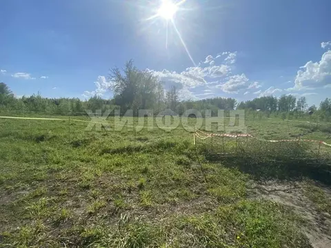 Участок в Новосибирская область, Новосибирский район, Станционный ...