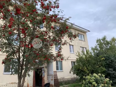 2-к кв. Рязанская область, Рыбновский район, Батуринское с/пос, с. ...