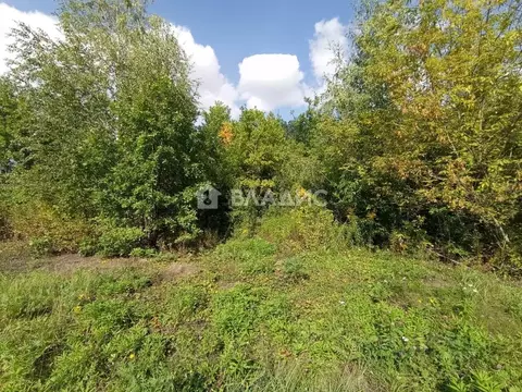 Участок в Пензенская область, Бессоновский район, Элита садоводческое ...