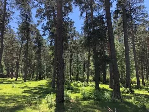 Участок в Алтай, Чемальский район, с. Чепош Спортивный пер., 34 (10.44 ...