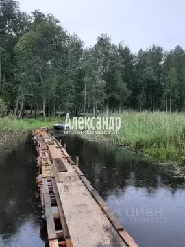 Участок в Ленинградская область, Приозерский район, Ромашкинское ...