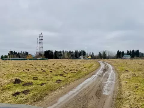 Участок в Псковская область, Печоры Вишенка садовое товарищество,  ...
