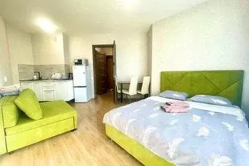 1-к кв. Свердловская область, Екатеринбург ул. Блюхера, 89 (25.0 м)