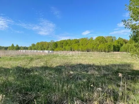 Участок в Тульская область, Тула городской округ, с. Бушово 4А (15.0 ...