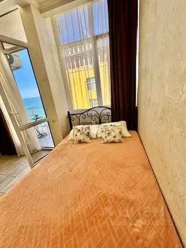 Студия Краснодарский край, Сочи ул. Просвещения, 118/1 (29.0 м)