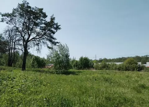 Участок в Московская область, Дмитровский муниципальный округ, с. ...