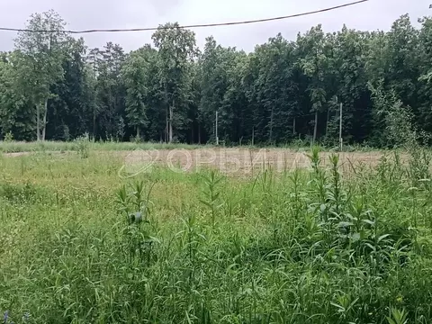 Участок в Тюменская область, Нижнетавдинский муниципальный округ, ...