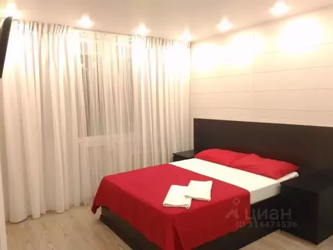 1-к кв. Нижегородская область, Нижний Новгород ул. Белинского, 87 ...