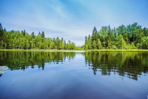 Участок в Московская область, Волоколамский муниципальный округ, Эко ...