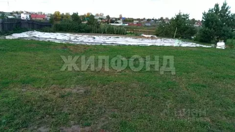 Участок в Новосибирская область, Новосибирский район, с. Ярково ...