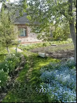 Дом в Калининградская область, Калининград Медик СНТ, проезд 7-й, 28 ...