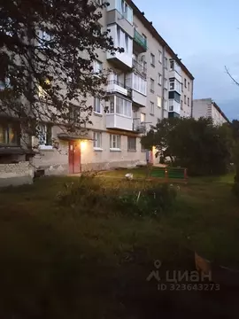 1-к кв. Ленинградская область, Гатчинский муниципальный округ, пос. ...