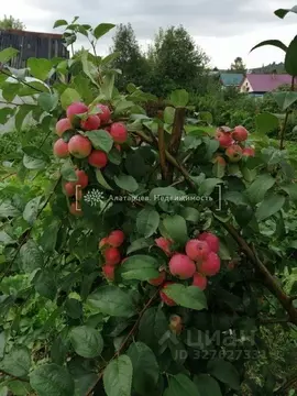Дом в Томская область, Томский район, Богашевское с/пос, Шахтер СНТ  ...