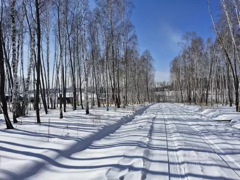 Участок в Иркутская область, Иркутский муниципальный округ, пос. Новая ...